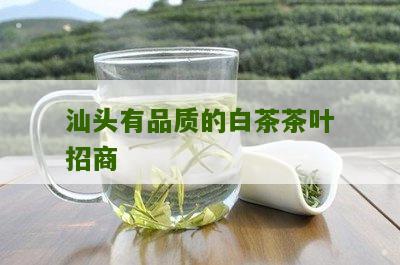 汕头有品质的白茶茶叶招商