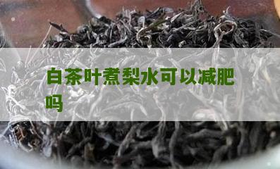 白茶叶煮梨水可以减肥吗