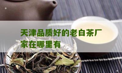 天津品质好的老白茶厂家在哪里有