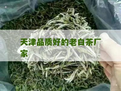 天津品质好的老白茶厂家