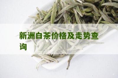 新洲白茶价格及走势查询