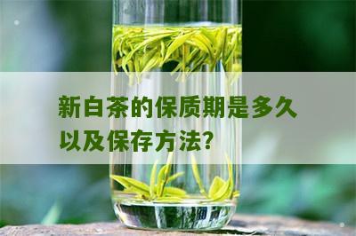 新白茶的保质期是多久以及保存方法？