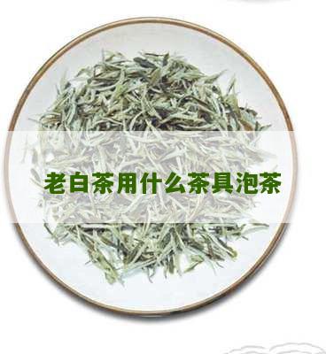 老白茶用什么茶具泡茶