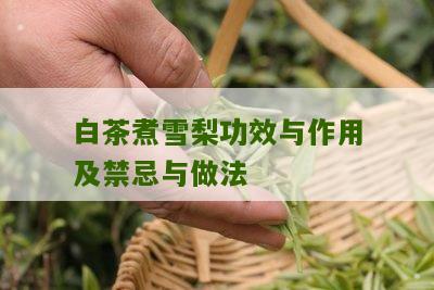 白茶煮雪梨功效与作用及禁忌与做法