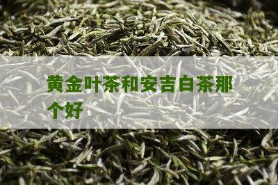 黄金叶茶和安吉白茶那个好