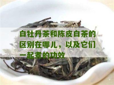 白牡丹茶和陈皮白茶的区别在哪儿，以及它们一起煮的功效