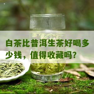 白茶比普洱生茶好喝多少钱，值得收藏吗？