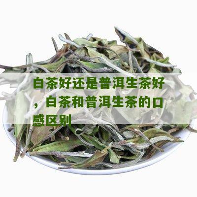 白茶好还是普洱生茶好，白茶和普洱生茶的口感区别