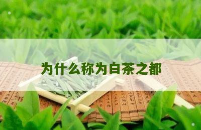 为什么称为白茶之都