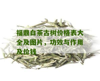 福鼎白茶古树价格表大全及图片，功效与作用及价钱