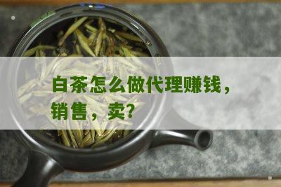 白茶怎么做代理赚钱，销售，卖？