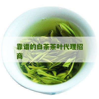 靠谱的白茶茶叶代理招商