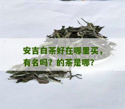 安吉白茶好在哪里买，有名吗？的茶是哪？