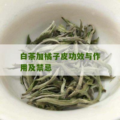 白茶加橘子皮功效与作用及禁忌