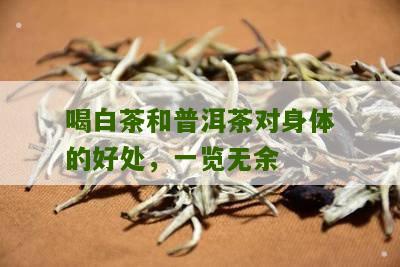 喝白茶和普洱茶对身体的好处，一览无余