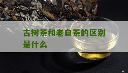 古树茶和老白茶的区别是什么