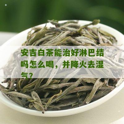 安吉白茶能治好淋巴结吗怎么喝，并降火去湿气？