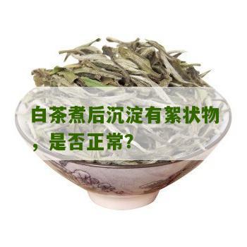 白茶煮后沉淀有絮状物，是否正常？