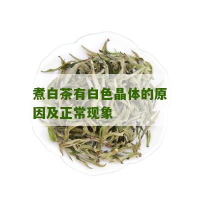 煮白茶有白色晶体的原因及正常现象