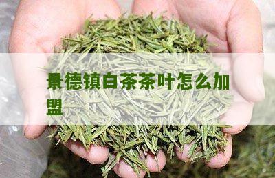 景德镇白茶茶叶怎么加盟