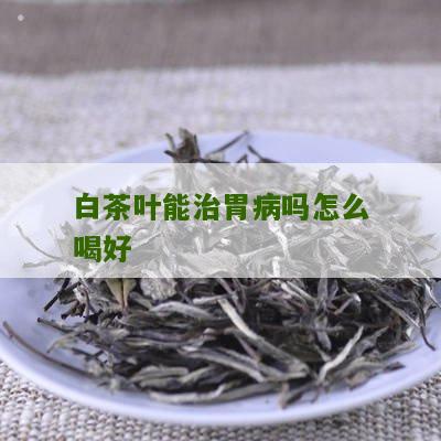 白茶叶能治胃病吗怎么喝好