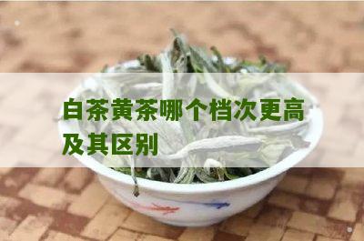 白茶黄茶哪个档次更高及其区别