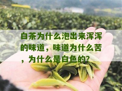 白茶为什么泡出来浑浑的味道，味道为什么苦，为什么是白色的？