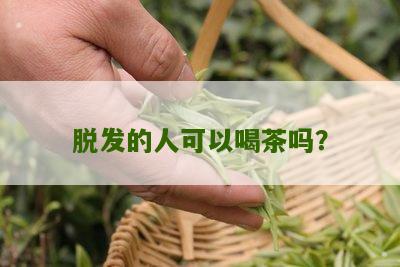 脱发的人可以喝茶吗？