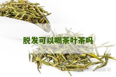 脱发可以喝茶叶茶吗