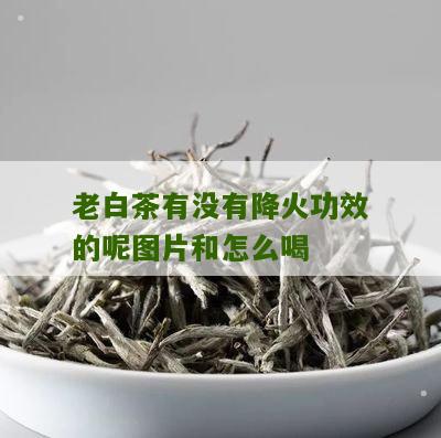 老白茶有没有降火功效的呢图片和怎么喝