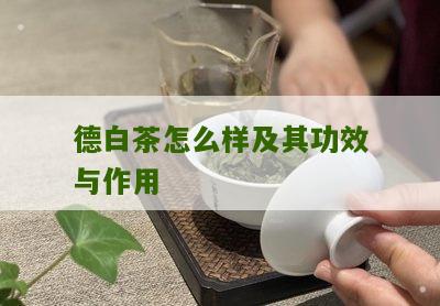 德白茶怎么样及其功效与作用