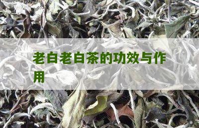 老白老白茶的功效与作用