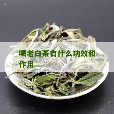 喝老白茶有什么功效和作用