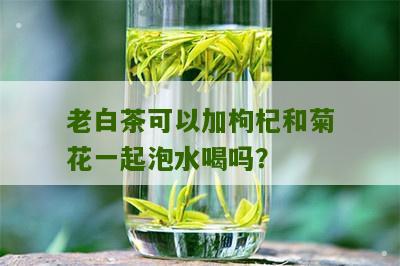 老白茶可以加枸杞和菊花一起泡水喝吗？