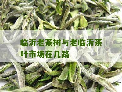 临沂老茶树与老临沂茶叶市场在几路