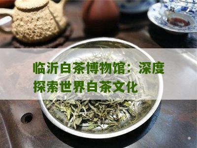 临沂白茶博物馆：深度探索世界白茶文化