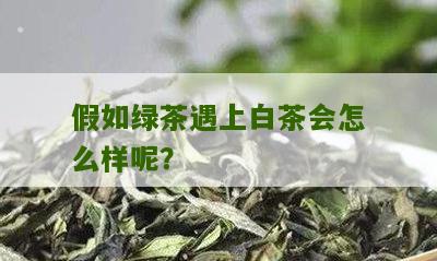 假如绿茶遇上白茶会怎么样呢？