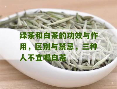 绿茶和白茶的功效与作用，区别与禁忌，三种人不宜喝白茶