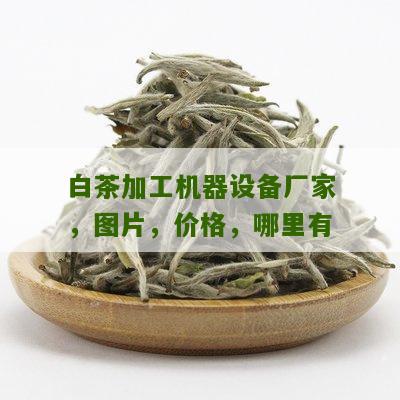 白茶加工机器设备厂家，图片，价格，哪里有