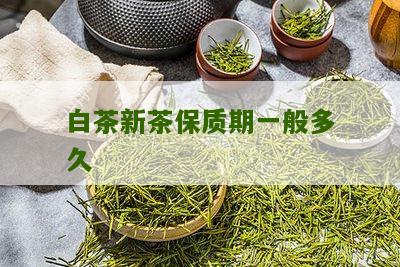 白茶新茶保质期一般多久