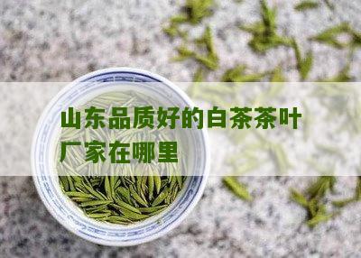 山东品质好的白茶茶叶厂家在哪里