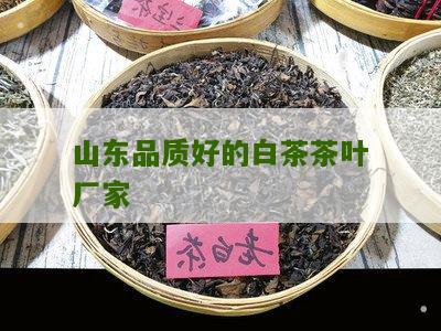 山东品质好的白茶茶叶厂家