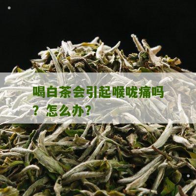 喝白茶会引起喉咙痛吗？怎么办？