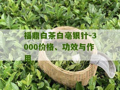 福鼎白茶白亳银针-3000价格、功效与作用