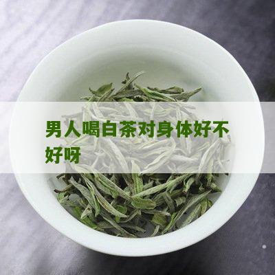 男人喝白茶对身体好不好呀