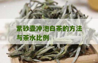 紫砂壶冲泡白茶的方法与茶水比例