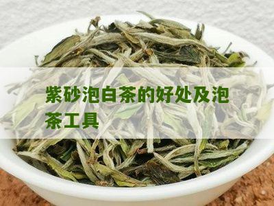 紫砂泡白茶的好处及泡茶工具