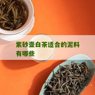 紫砂壶白茶适合的泥料有哪些