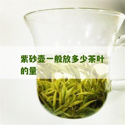 紫砂壶一般放多少茶叶的量