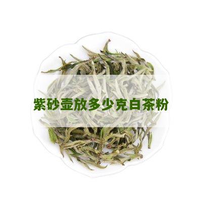 紫砂壶放多少克白茶粉